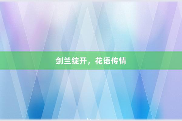 剑兰绽开，花语传情