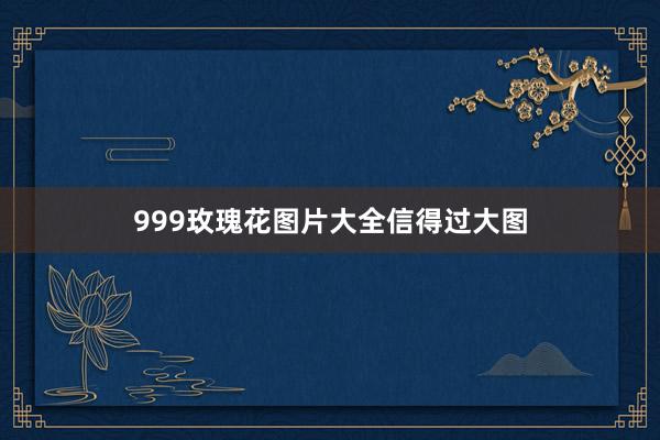 999玫瑰花图片大全信得过大图