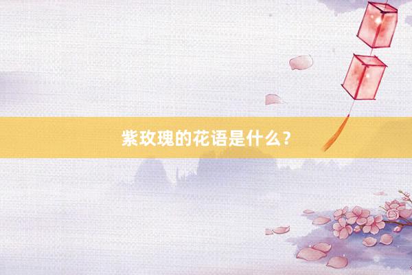 紫玫瑰的花语是什么？