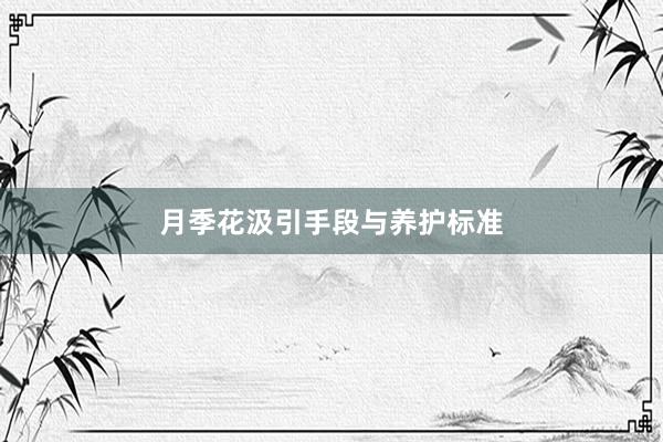 月季花汲引手段与养护标准