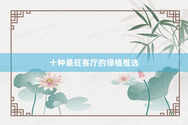 十种最旺客厅的绿植推选