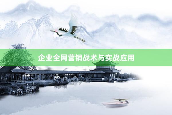 企业全网营销战术与实战应用